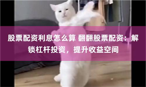 杠杆游戏中的暗流：25522股票配资数据透视与风险解构